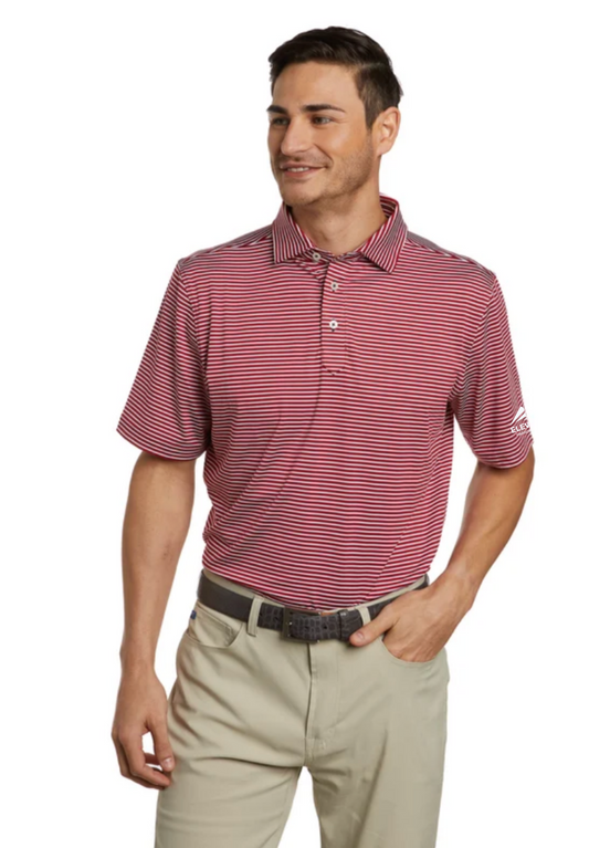 Stitch Victory Stripe Polo